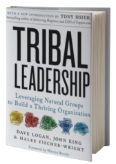 Tribal Leadership: Leveraging Natural Groups to Build a Thriving Organization