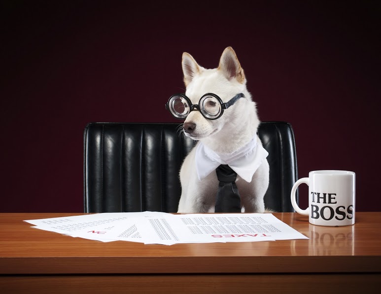 Retain Talent by Fine Tuning Employee Culture