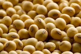 Innovation The Key To Increasing Demand For Soy