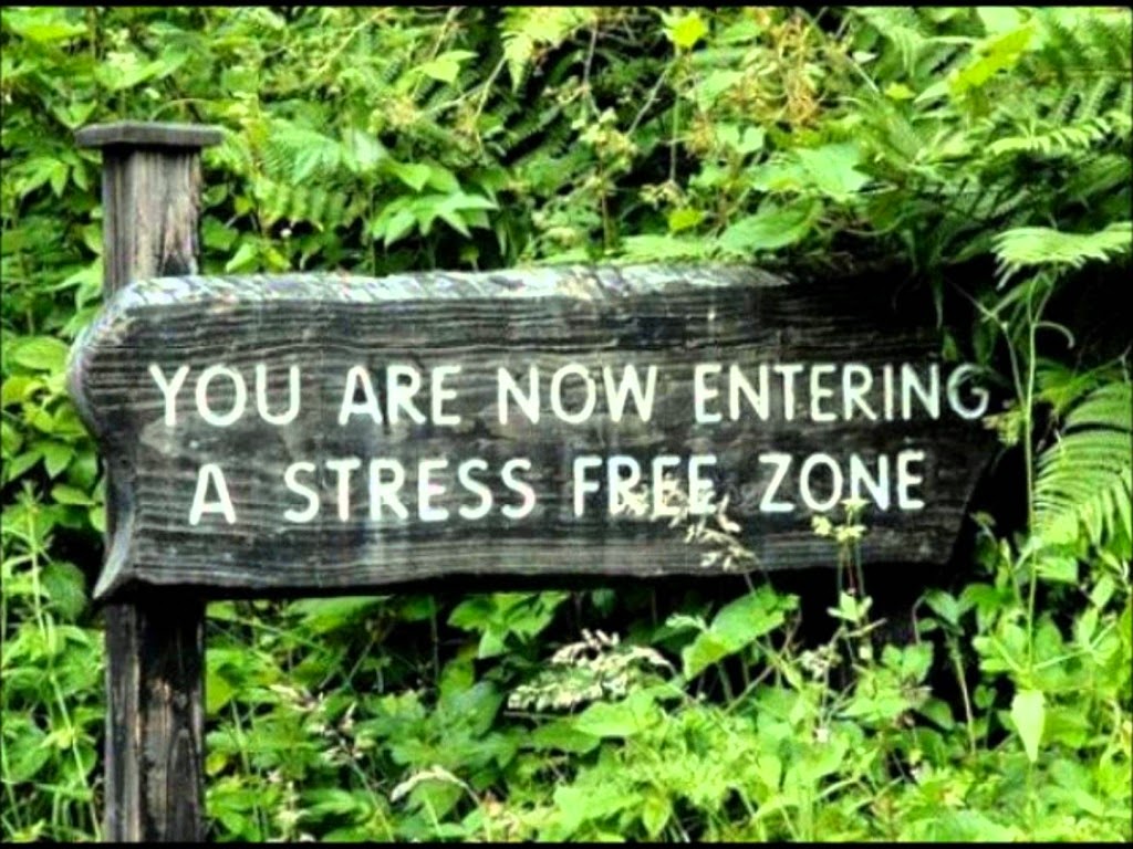 Stress Less!