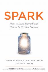 Spark: How to Lead Yourself and Others to Greater Success