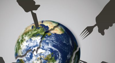 Seven Smart Ways Your Business Can Adapt to a Disruptive Business Environment