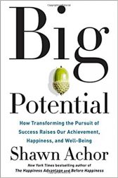 Big Potential: How Transforming the Pursuit of Success Raises Our Achievement, Happiness, and Well-Bein
