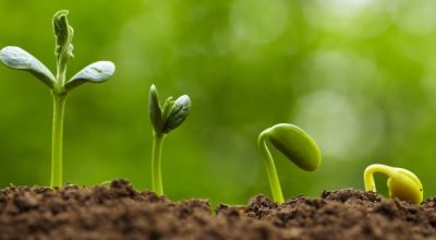 BigSpeak’s Top Booked Change Management Speakers