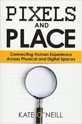 Pixels and Place: Connecting Human Experience Across Physical and Digital Spaces