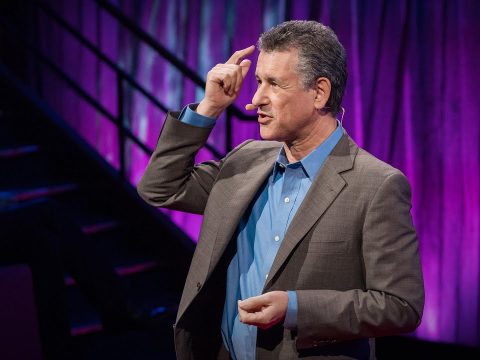 How to stay calm when you know you’ll be stressed | Daniel Levitin