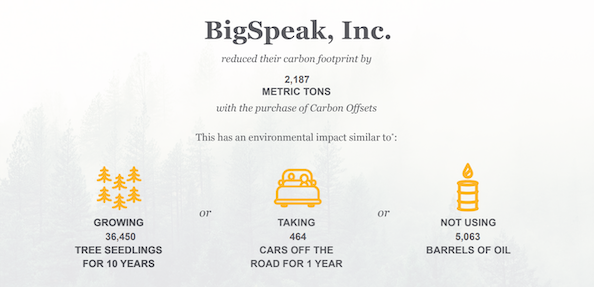 BigSpeak carbon offset stats 2020