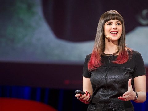 Hackers: the internet’s immune system | Keren Elazari