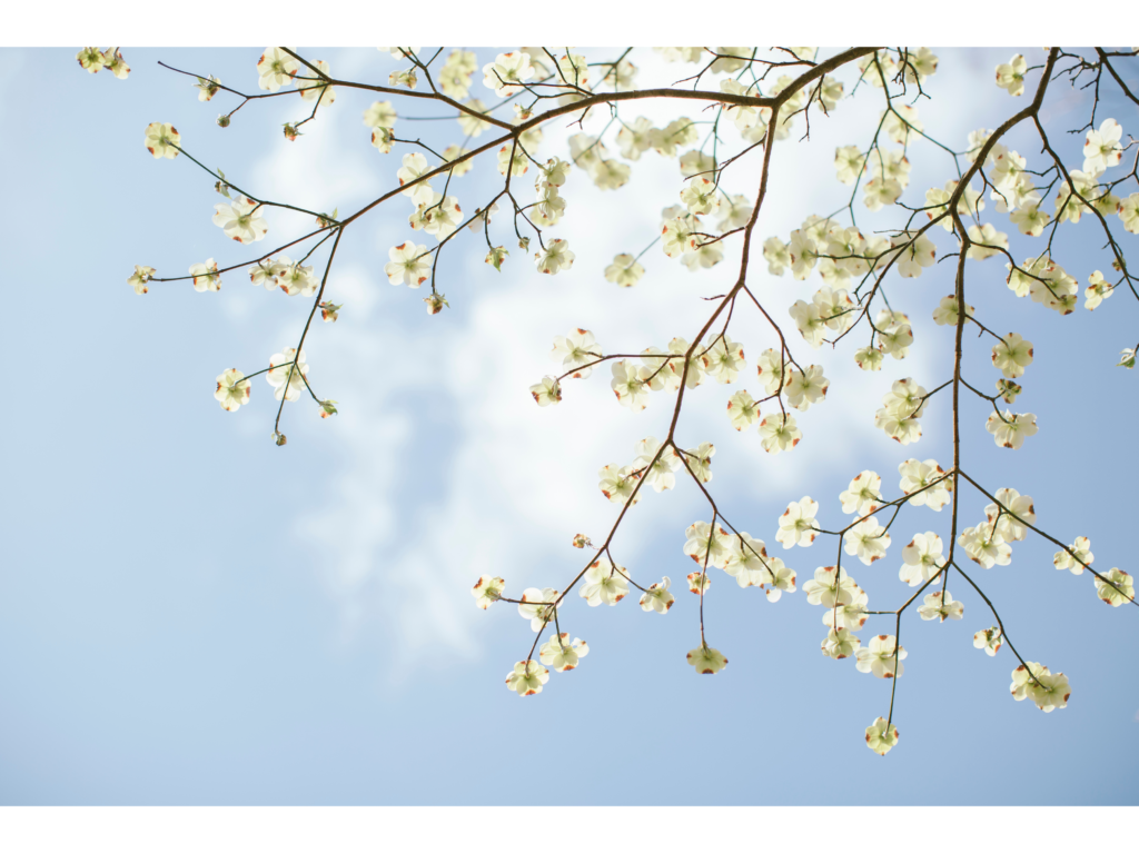 Top 10 Motivational Keynote Speakers in Spring this Year