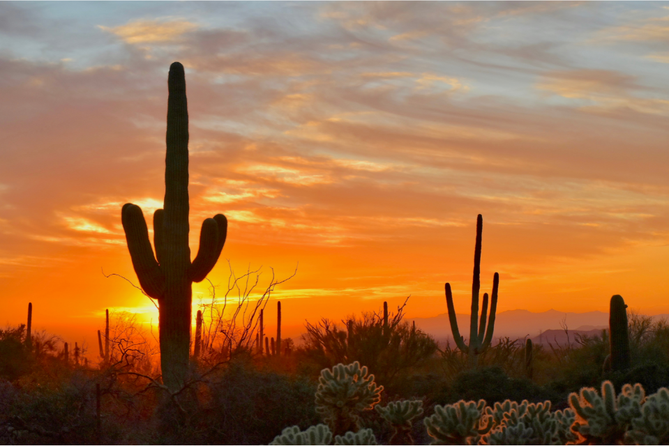 Local Keynote Speakers for Your Event in Scottsdale