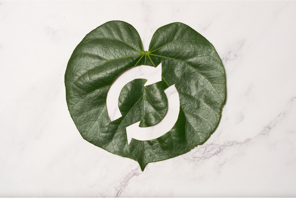 Make a Better World With the Circular Economy