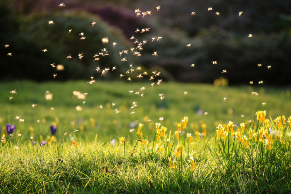 Marcus Collins’ For the Culture named in Forbes’ 6 Must Read Books for Spring Reading