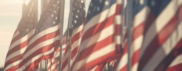 Honor our Brave Heroes this Veteran’s Day