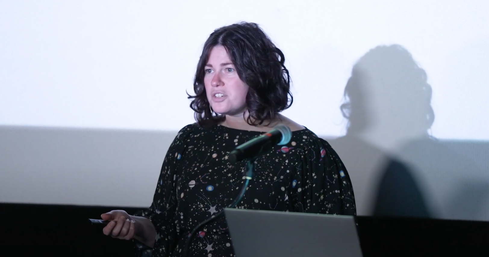 Distinguished Speaker Series: Janelle Shane on what AI can do – and can’t