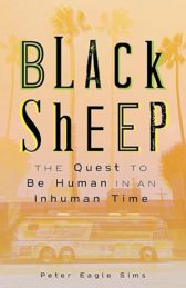 Black Sheep