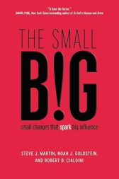 The small BIG: small changes that spark big influence