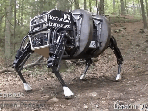 Marc Raibert: Boston Dynamics and the Future of Robotics | Lex Fridman Podcast #412
