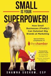 Small is Your Superpower!: How Small Businesses (Finally!) Can Outsmart Big Brands at Marketing