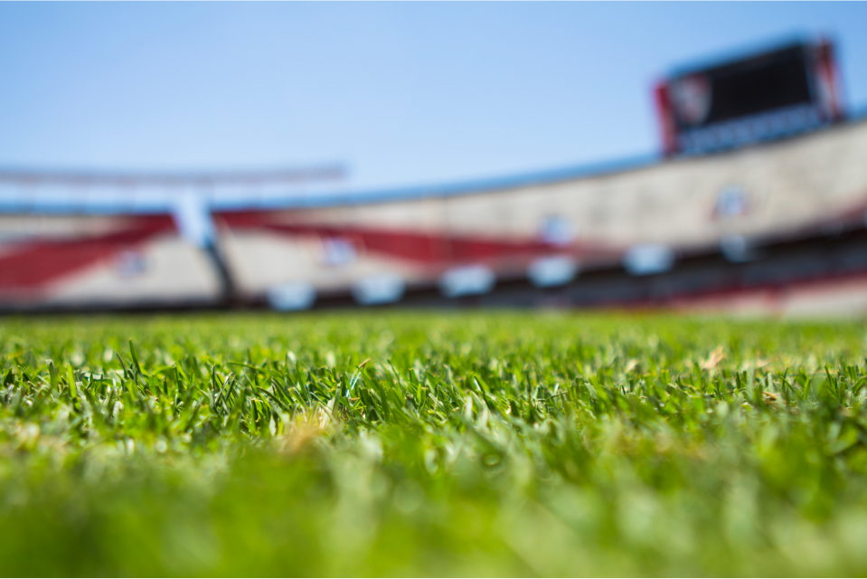 NBA, NFL, MLB, Olympics & More: Discover BigSpeak’s Athlete Speakers